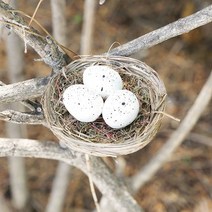 더리얼스 둥지안에 새알 모형 둥지 (소) 6~6.5cm 새집 인테리어소품 버드하우스