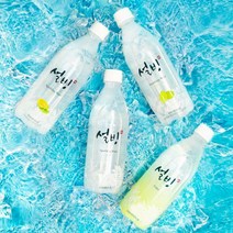 설빙 탄산수 500ml x 20병 3종, 01_설빙탄산수 플레인 500ml x 20병