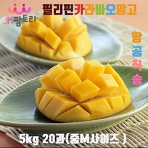 필리핀현지 항공직송 필리핀카라바오 프리미엄 옐로 생망고 20과(중M사이즈) 무려 5KG 1박스, 1개