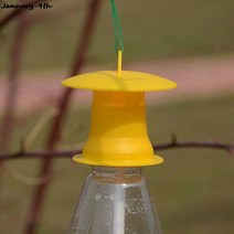 퍼펙트 모기 퇴치기 초파리 트랩 5pcs 과일 플라이 해충 버그 킬러 레이저 추적 울트라