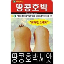 [워터트리몰] 채소 종자 재배 씨앗 땅콩호박 씨앗(10립) (A)