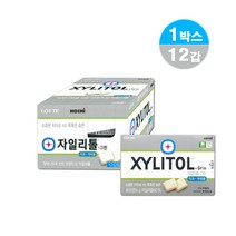 무설탕껌 자일리톨그린 60 16g 12갑 1박스 당뇨환자 충치 치매 예방 약국 금연 보조 기능성 껌, 12개