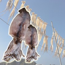 국내산 여수 급냉 갑오징어 350g내외1마리, 단품