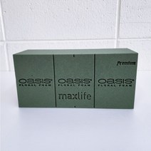 오아시스 프리미엄 인테리어 꽃꽃이 수반 1개