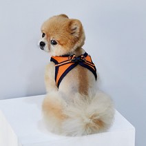 리얼펫 4계절 슬림 조끼 하네스, ORANGE