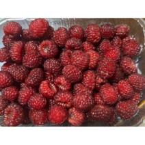 국내산 냉동산딸기 500g 1kg 냉동 산 딸기 산딸기 산딸기냉동 냉동국산산딸기, 1개