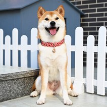 LongFatoys 일식 강아지 목줄 방울 개목걸이 당초무늬 시바견 개줄 소형견 웰시코기 푸들, 블루 3종 세트