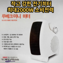 (루베크) 전기 온풍기 전기히터 온열 난로 난방기 미니, 루베크 전기 온풍기