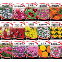 봄꽃 겹꽃 아마 부용화 아마 수국 세이지 아욱 플록스 국화 접시꽃 데이지 양지꽃 나팔꽃 사루비아 풍접초 투베로사 아도니스 클라키아 채송화 장미 봉선화 해바라기 꽃잔디 씨앗, 과꽃