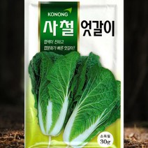 엇갈이 배추씨앗 사철엇갈이 30g 고농종묘