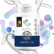 모유 유래 유산균 분말 온가족 유산균 가루 신바이오틱스 프로바이오스틱 프리바이오스틱 신프로바이오틱스 프락토올리고당 생유산균 170g1통