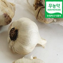 (자연마을) 국내산 무농약 남해 통마늘 햇마늘 800g / 2kg, 국내산 무농약 남해 통마늘 800g, 1개