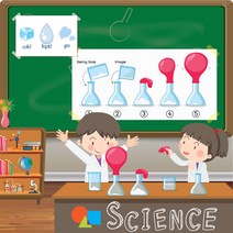 1 2학년이 꼭 해봐야 할 실험 키트 모음 5종 교과서 과학 필수실험 중요한 실험 초등과학실험, 실험 5종(친환경 불포함)