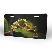 BYBYSCL LGBT 깃발 게이 프라이드 무지개 패턴 알루미늄 번호판 장식 금속 자동차 전면 참신한 커버 4 홀 태그 15.2 x 30.5 cm, White4