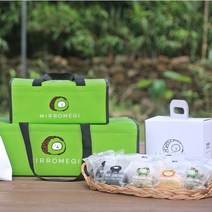 제주 미르오메기떡 5종혼합(50개), 55g, 50개