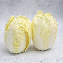 빛고을장터 쌈배추 12통 6통 4통 2통 알배기 알배추, 1Box, 04_쌈배추 12통