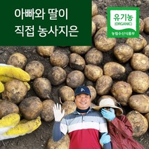제주 오가닉스 유기농 감자 대지마 특감자/알감자, 알감자5kg, 1개