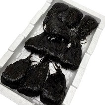 물김 생김 생물김 500g 1kg 5개 10개, 물김 10개(2개씩 개별포장)