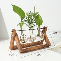 유리 꽃병 테라리움 수경식물 키우기 수경재배 투명 화병 실내화초 유리 탁상 책상 사무실 홈 장식, C형