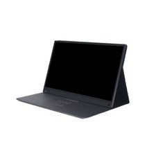 카멜 38cm FHD 프리즘 포터블 모니터, CPM1520IPS