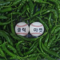 클릭마켓 국내산 매운 고추 청양고추 땡초 1kg 2kg 5kg, c청양고추 1kg 상
