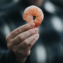 칵테일새우 900g 31/40 41/50 탈각새우 냉동새우 도매새우, 도매10팩(41/50), 9kg