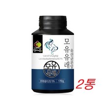 모유 유래 유산균 락토바실러스 가세리 루테리 프로 프리 바이오틱스 2통