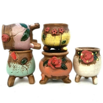 별난다육 [콩분코사지 5종세트] 콩분 다육화분