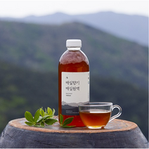 당뇨 매실액 매실청 유기농 임산부 1L, 매실액 1L