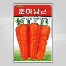 슬로시 슬로시 김장 채소 씨앗 무 배추 당근 씨 종자, 춘하당근2000립(아람)
