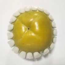 태추단감 배단감 가정용단감 정품단감, 가정용소과(11~14과), 1개, 2kg