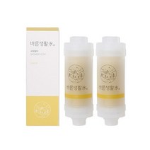 바른생활수 녹물 염소 제거 비타민 샤워필터, 무향, 20개