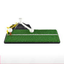 골프 다목적 실내 스윙 트레이너 초보 타석, 검은 배경 PP 잔디