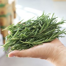 로즈마리 생잎 10g 칵테일용 허브 (상태B급_길이 짧음)