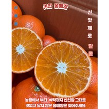 제주 홍매향 3kg 5kg 동백향 고당도 썬레드 미하야 감귤 선물용 신품종, 선물용5kg(45과수내외), 1개