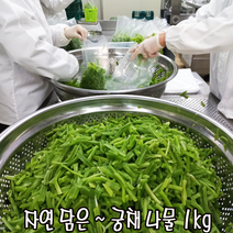 A급 불린 궁채나물 / 위생적으로 불림 절단 세척후 1kg씩 개별 진공포장된 아삭아삭 줄기상추, 궁채나물 1kg