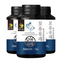 온가족 모유유래 유산균 분말 파우더 프로바이오틱스 프리바이오틱스 170g