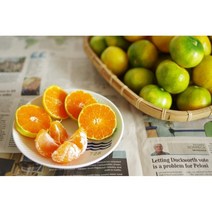 제주 하우스귤 고당도 서귀포 효돈감귤 3kg 5kg, 로얄과 3kg, 1개