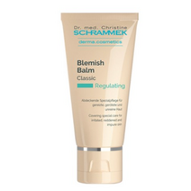 슈라멕 블레미쉬밤 비비크림 40ml, 라이트, 5개