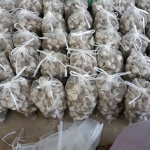 2023년 의성에서 직접재배한 의성마늘 통마늘 한지형 저장마늘+ 10 톨 덤으로 드립니다., 1개, 홍산마늘 대품 4kg