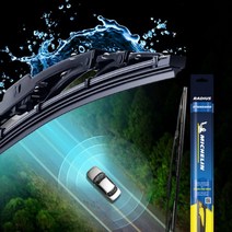 미쉐린 RADIUS 스탠다드 자동차 와이퍼, 1개