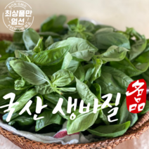 국산 바질 basil 생바질 스위트바질 100g 냉장배송, 1개