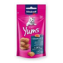 비타크래프트 캣얌 40g -연어맛(유통23.11)
