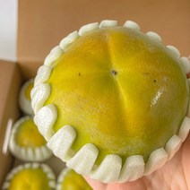 창원 태추단감 배단감 2kg 3kg 5kg, 1통, 2kg(9과 내외)