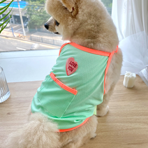 데댕 댕쿨티 시원한 강아지 쿨나시 + 아이스팩 세트