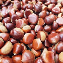 2023년 첫수확 오가닉문의햇밤 상수원보호구역 유기농법 자연건조 청원군 문의면 토종생율햇밤 4kg 단밤 약밤, 청원군 문의햇밤