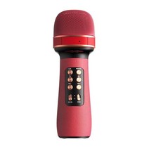 연주용 색소폰핀마이크 asmr 방송용 바이올린 마이크 수업용 유튜버 유튜브용 ws-898 음악 노래 다기능 휴대용 블루투스 호환 노래방 플레이어 기계, 협력사, 빨간색