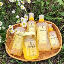 말뚝 천연 아카시아꿀 100% 자연산 국산 토종꿀 꿀선물세트 꿀답례품, 1개, 1kg