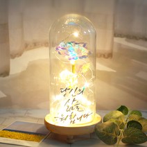 발트728 문구제작 홀로그램장미 기념일 선물 LED유리돔 글라스돔, 큰아이/홀로그램장미/꽃길만걷자