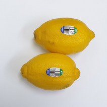 모들채소 레몬 중과 2개, 레몬2개
